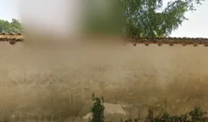Les Jardins De Ruffin à Bréchamps