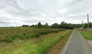 Pateau Stéphane – paysagiste33.net à Saint-Michel-de-Fronsac