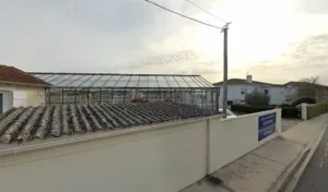 Panama Et Fils à Saintes
