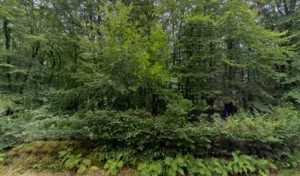 Jardin Des Sens à Brix