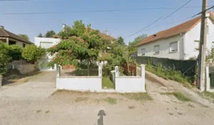 Vernisse Thierry à Saint-Rémy-en-Rollat