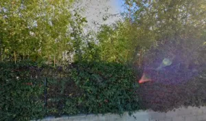 Aux Jardins de Taïs à Lunel