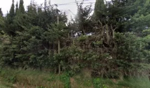 Penna Jean-Paul à La Crau