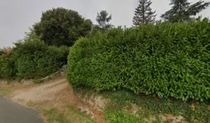 Ouillades Jean-Claude à Figeac