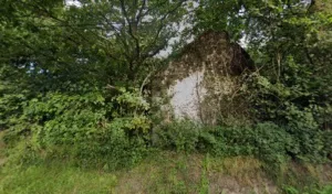 Arbres & Des Tailles à Aurseulles
