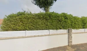 Vaire Vincent à La Barre-de-Monts