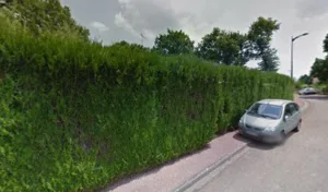 Baillot Patrice à Saint-Privé