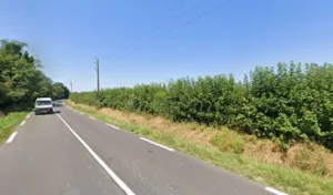 Wein Reich Paysage Père et Fils à Pont-l'Évêque