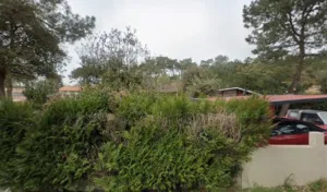 O vegetal à Jard-sur-Mer