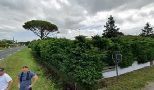 Didier Gassian à Le Porge