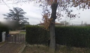 Felchner Freddy à Gragnague