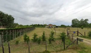 TMS à Lamothe-Montravel