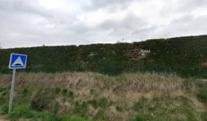 Les jardins du soleil levant à Canaules-et-Argentières