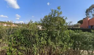 Topiarus création et entretien de jardin dans le Var à Le Plan-de-la-Tour