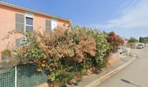 Les jardins dEngel à Rivesaltes