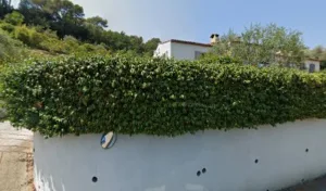 Le Z’arts Verts à Biot