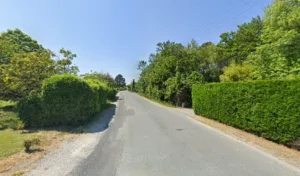Héron Paysage à Guenrouet