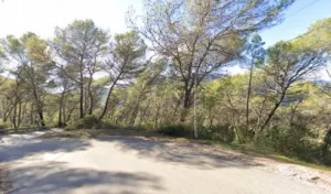 France Jardins Méditerranée à Blausasc