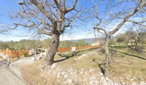Rami Gilles à Fayence