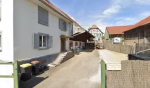 Paysage d’ambiance Sarl à Heimsbrunn