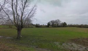 Bréchu Michel à Saint-Georges-sur-Loire