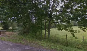 ziegler élagage à Bordères-sur-l'Échez