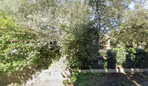 LE PETIT JARDINIER à Nîmes