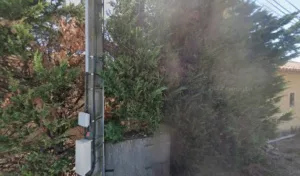 Amiel Elagage à Vauvert